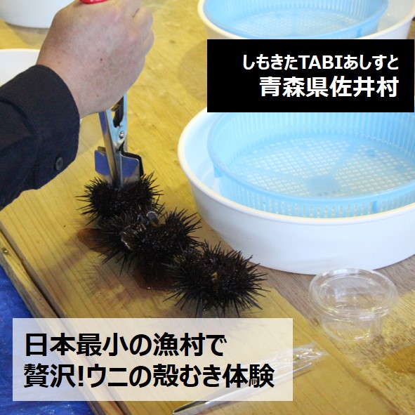 日本最小の漁村で　贅沢!ウニの殻むき体験